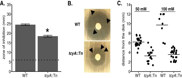 FIG 1