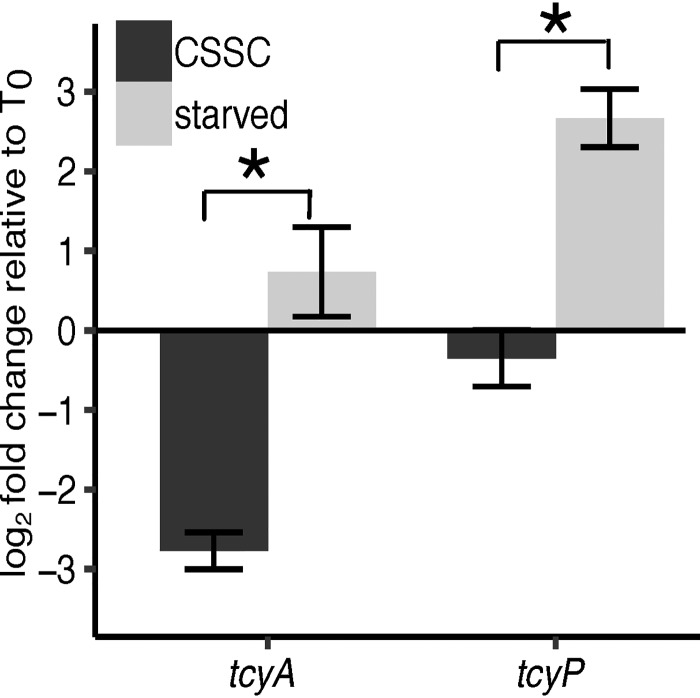 FIG 6