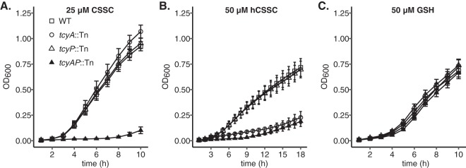 FIG 5