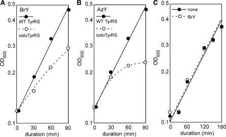 Figure 2.