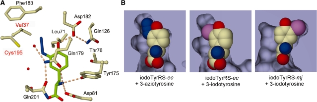 Figure 4.