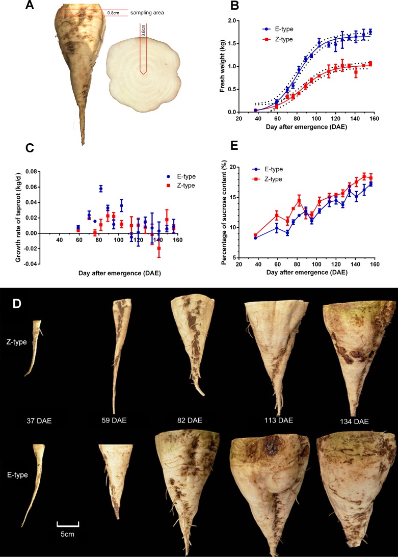 Fig 1