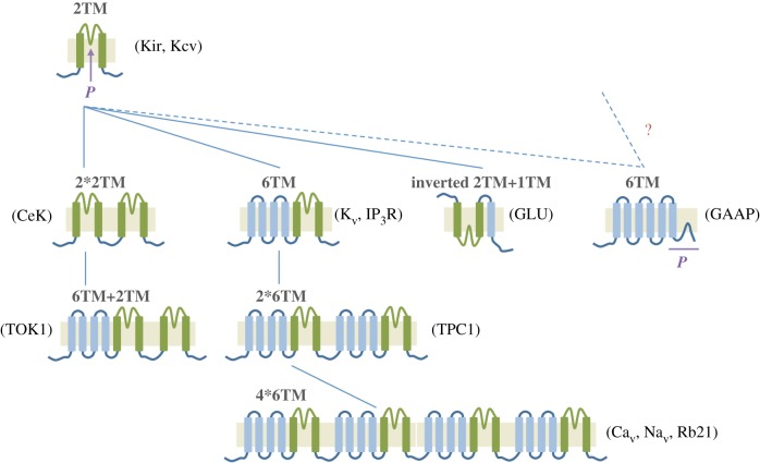 Figure 3.