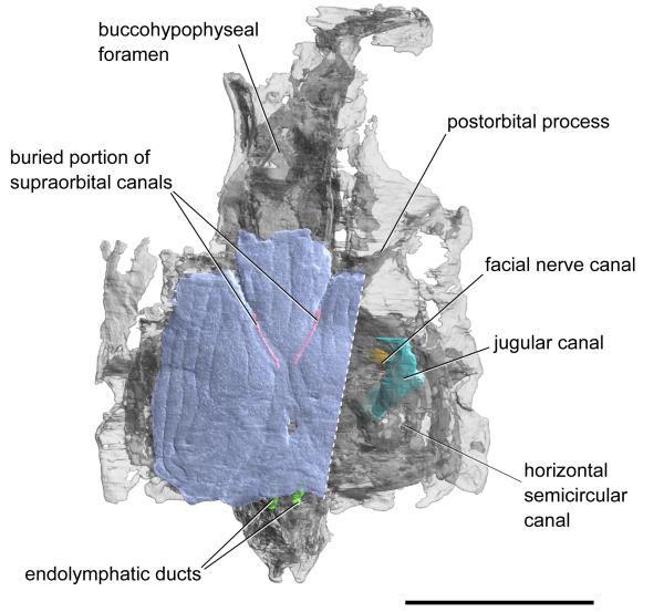 Extended Data Figure 3