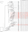 <sc>Fig</sc>. 3.