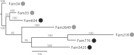 <sc>Fig</sc>. 4.