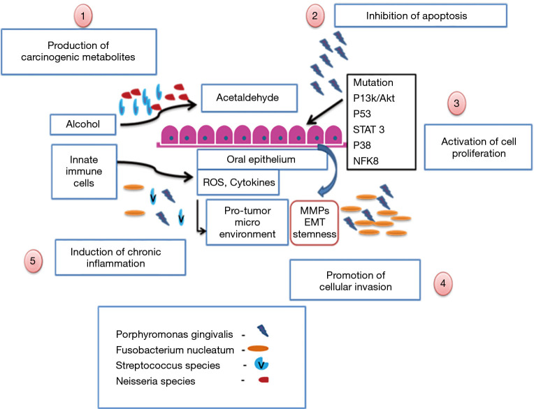 Figure 5