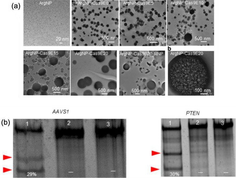 Fig. 8