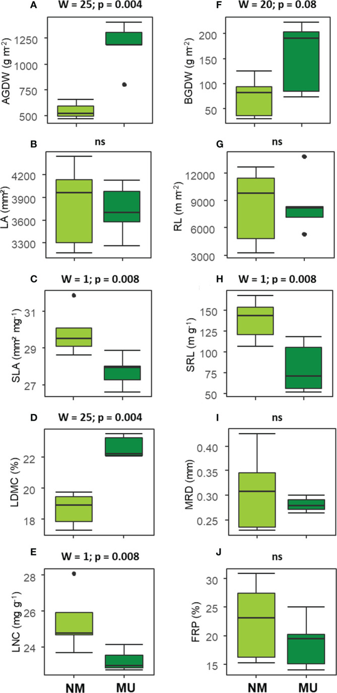 Figure 3