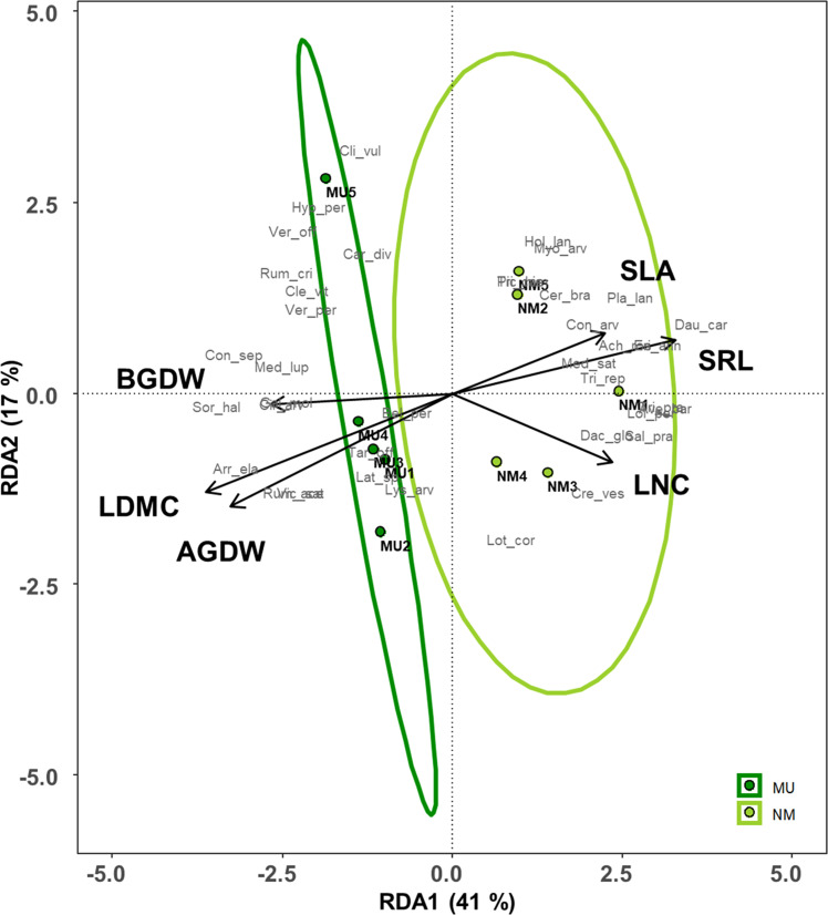 Figure 7