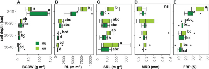 Figure 4