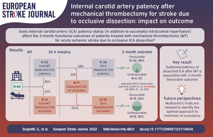 Graphical abstract