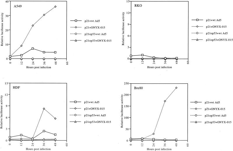 FIG. 3.