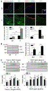 Fig. 4: