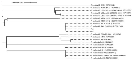 Figure-5