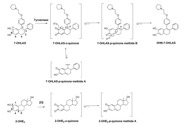 Scheme 2