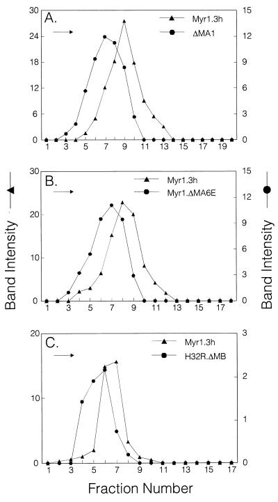 FIG. 5