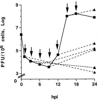 FIG. 1