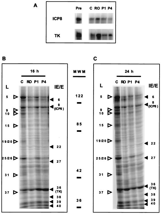 FIG. 8