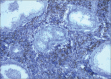 Figure 2b.
