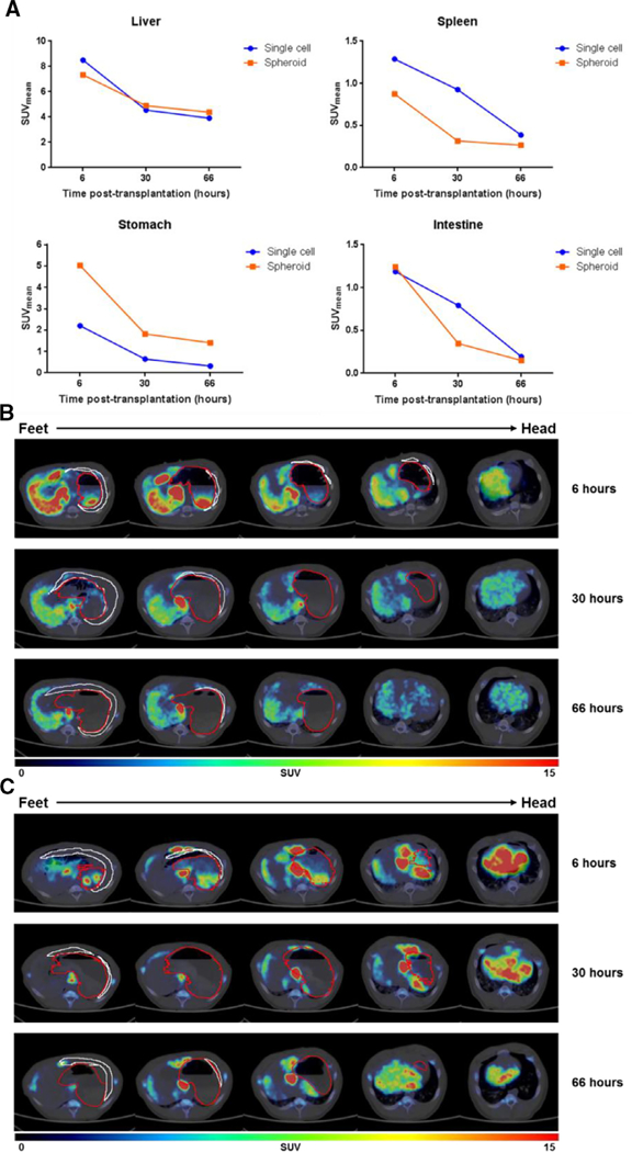 Fig. 4.