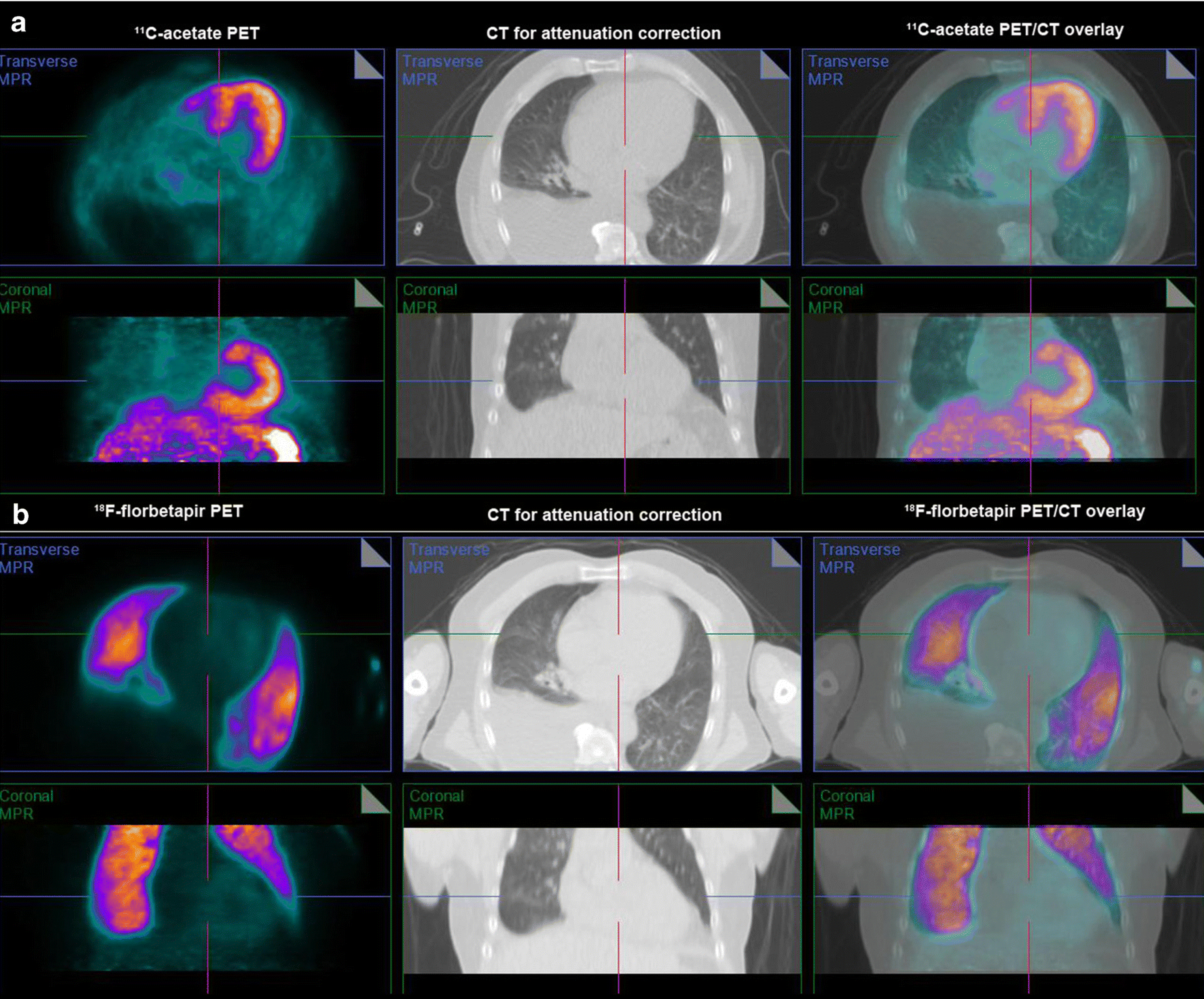 Fig 6