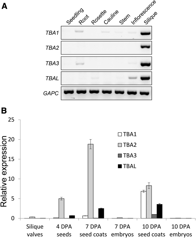 Figure 5.