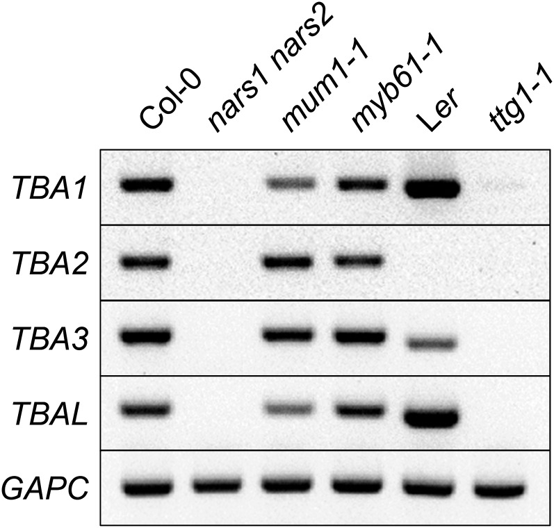 Figure 7.