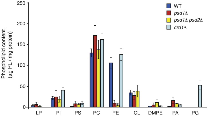 Fig. 1