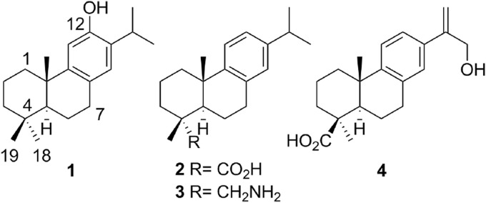 Fig. 1