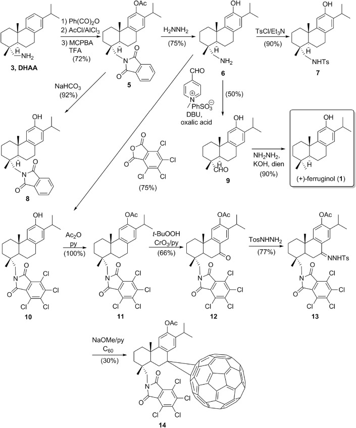 Scheme 1