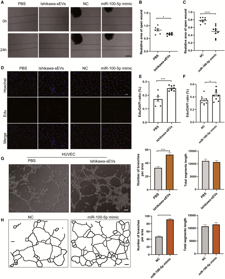 Figure 6