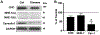 Figure 7: