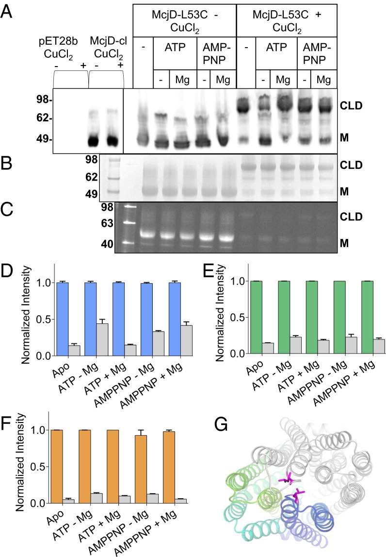 Fig. 3.