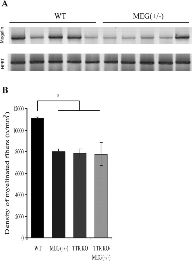 Figure 9.