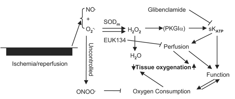 Fig. 9