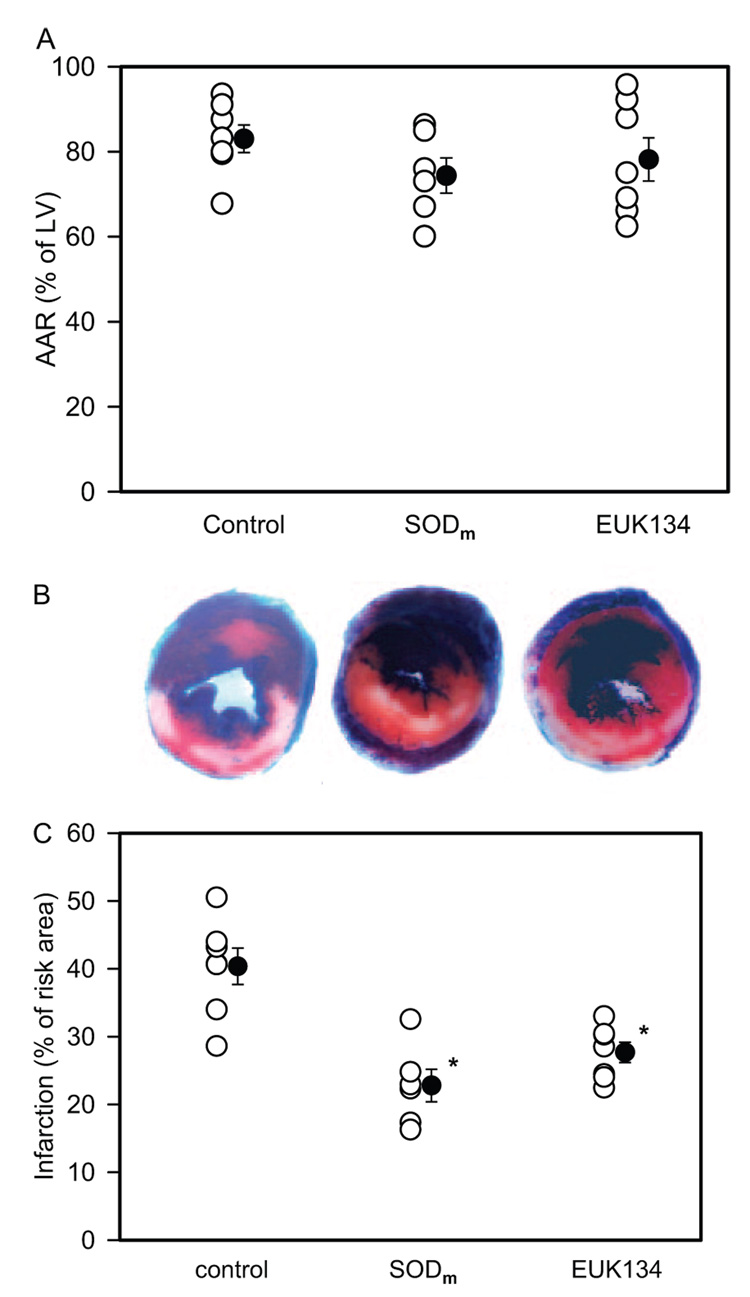 Fig 8