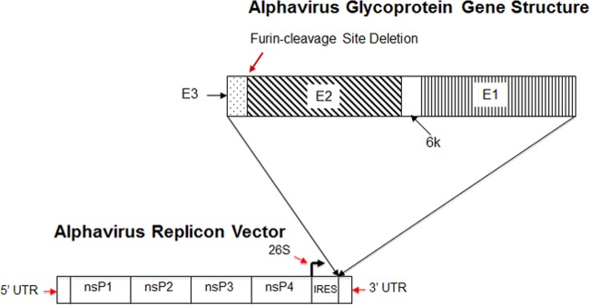 FIG 1