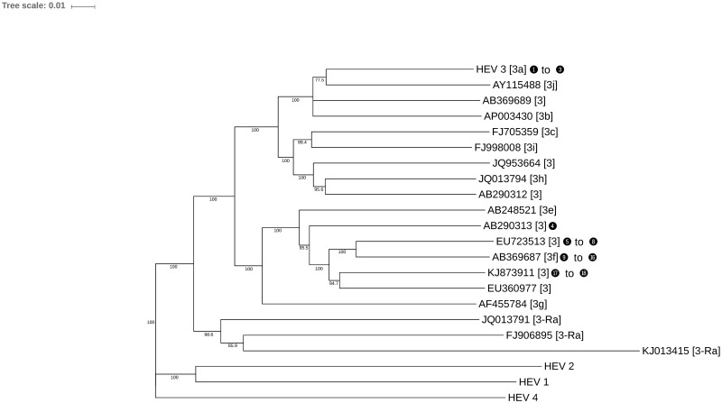 Fig 2