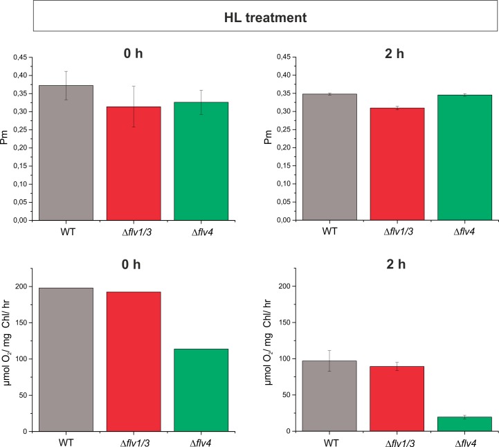 Figure 5—figure supplement 2.