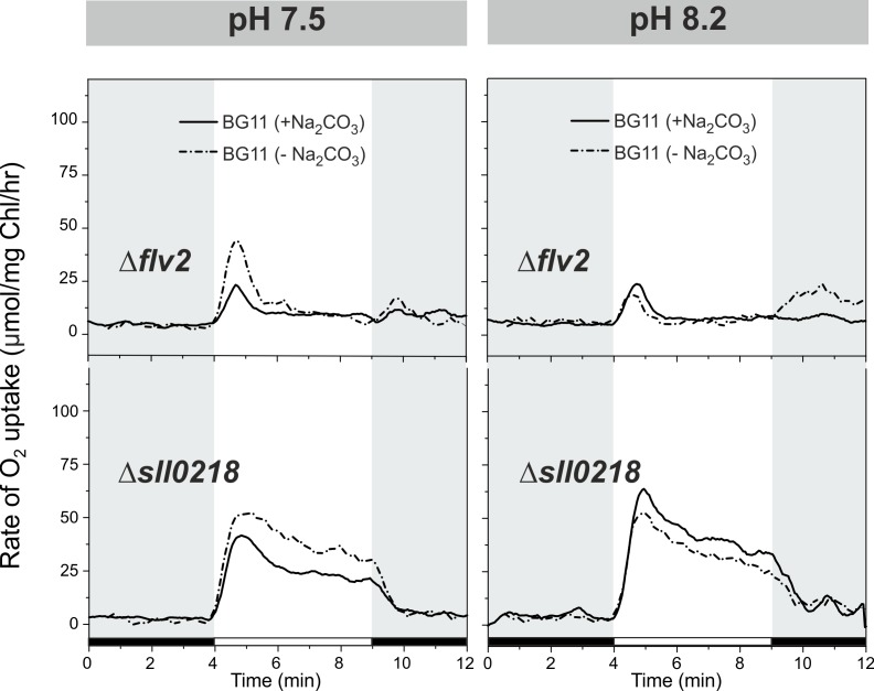 Figure 2—figure supplement 1.