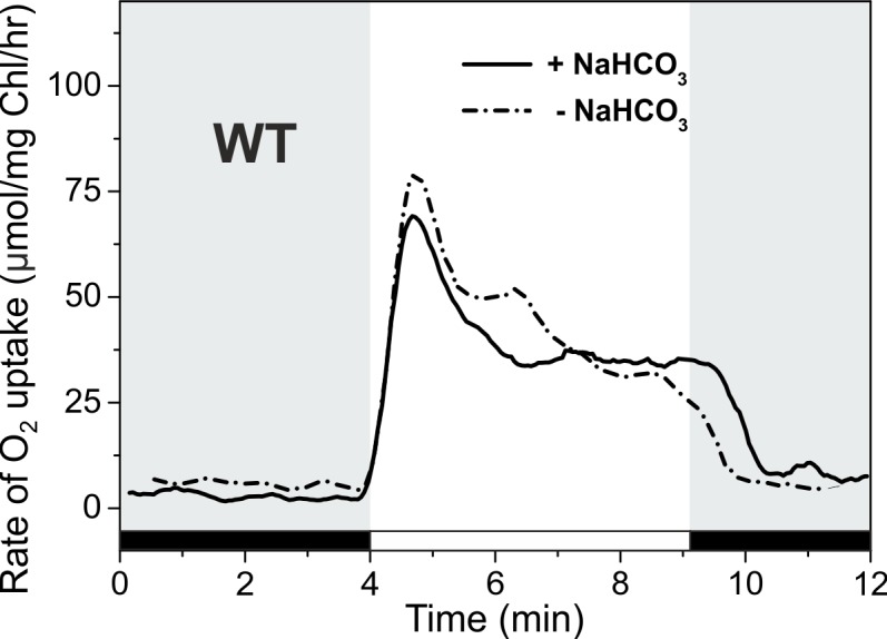 Figure 1—figure supplement 2.