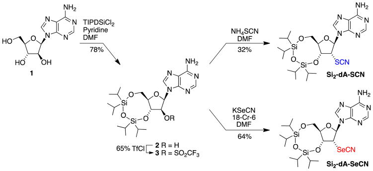 Scheme 1