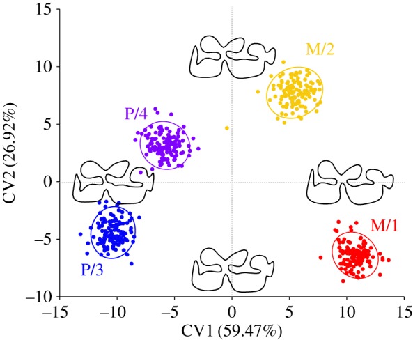 Figure 4.