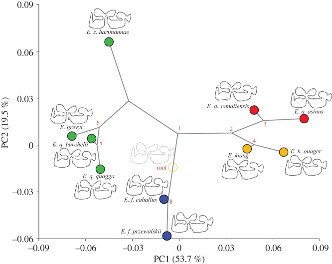 Figure 7.