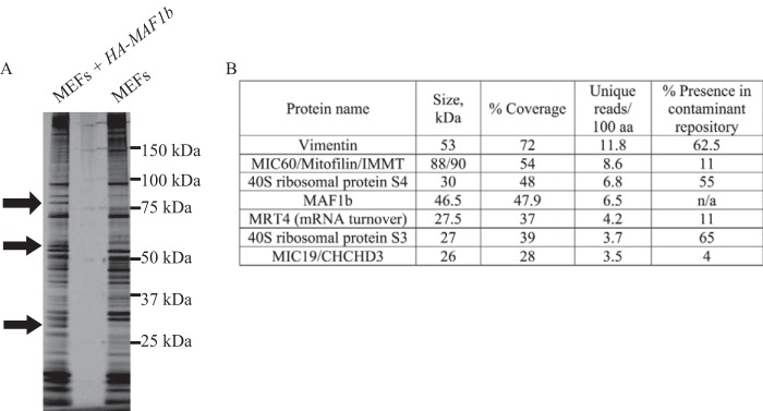 FIG 1 