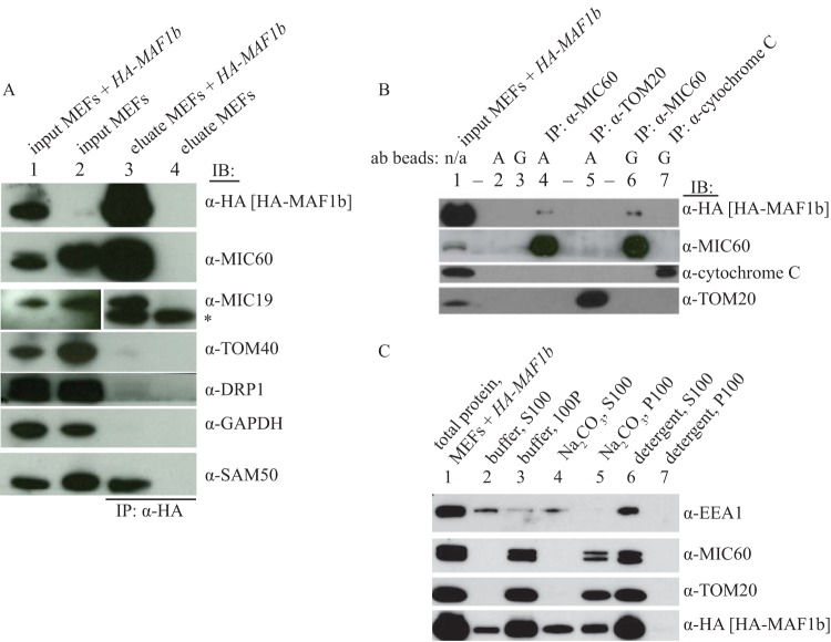 FIG 2 