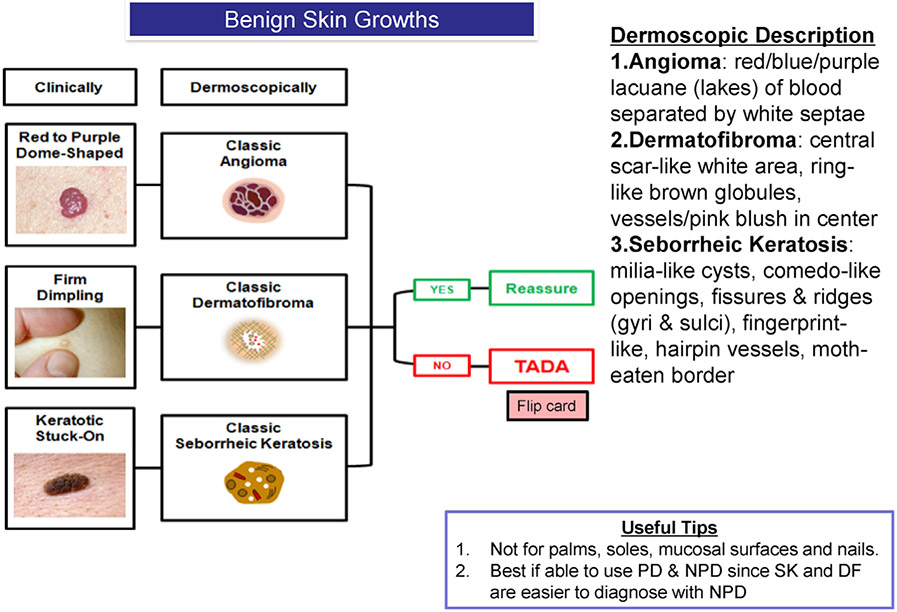 Fig 1.