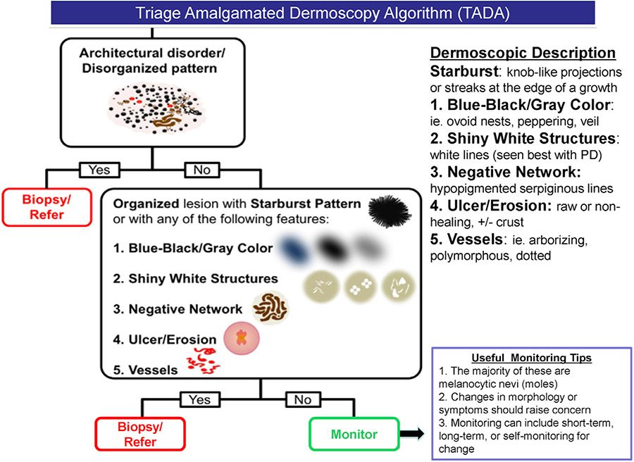 Fig 2.