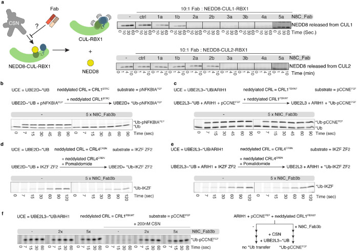 Fig. 2: